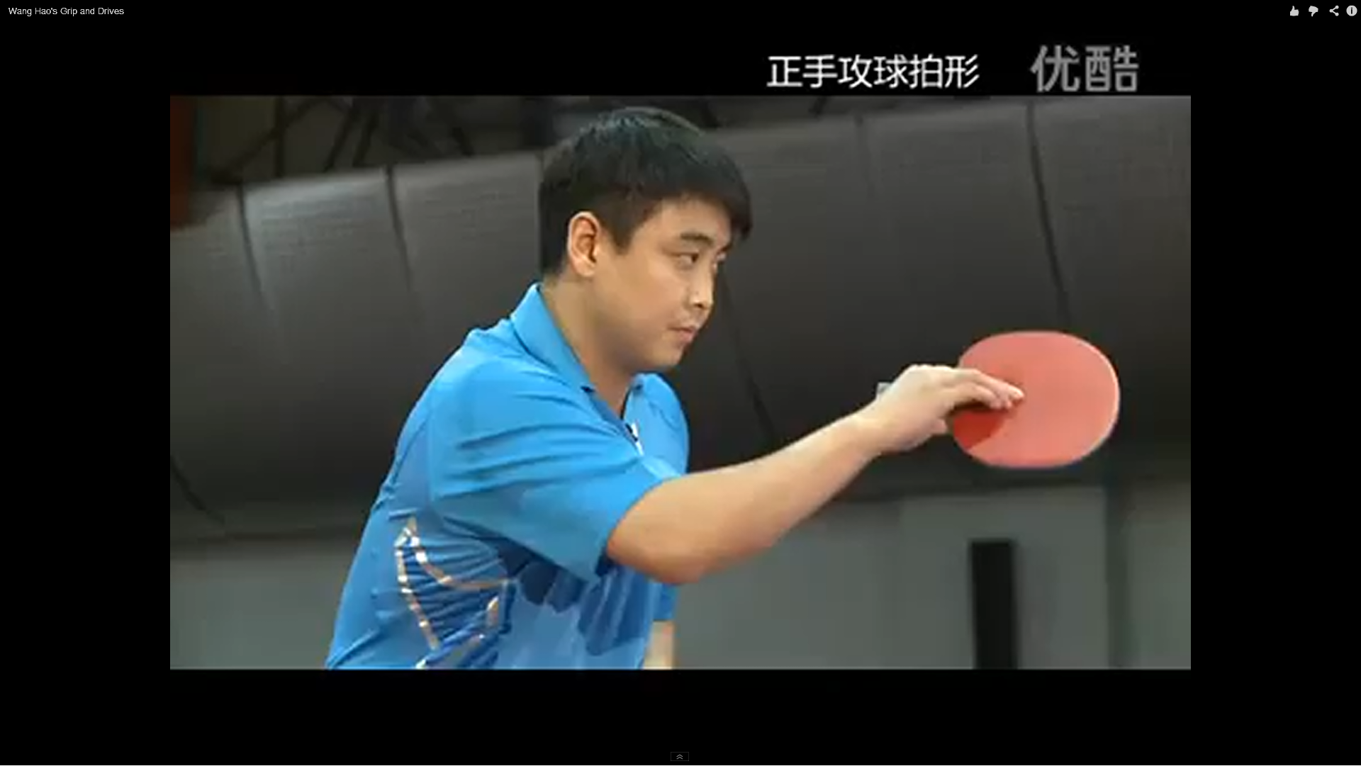 How To Hold Penhold Paddle the Wang Hao Style Tips Area